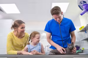 preparing your child for a vet visit